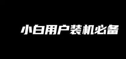 小白装机官方logo